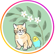 アニボタインスタアイコン