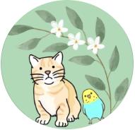 アニボタXアイコン