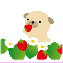 女性 36歳 川崎市在住